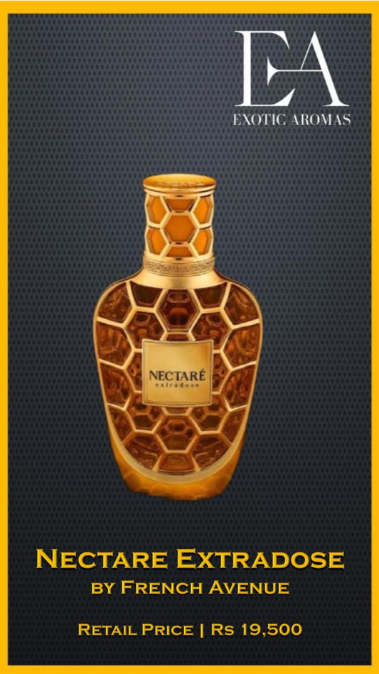 Nectare Extradose by French Avenue (EDP | 100ml)